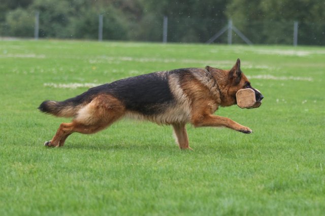 117967983_3559880537379830_3809993921960673252_o