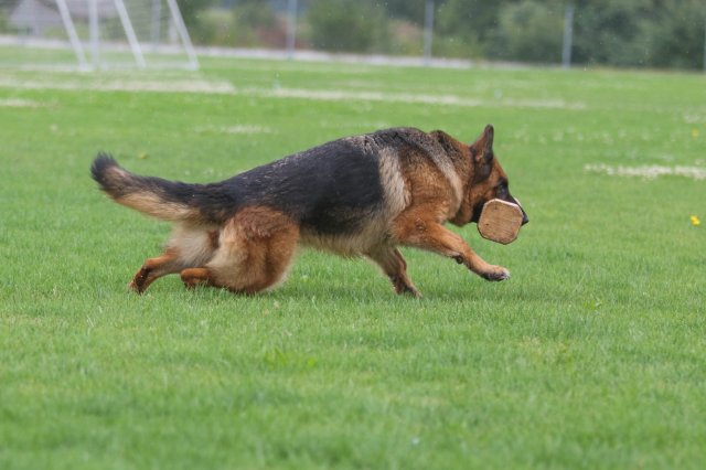 118010823_3559880540713163_2290092582289159238_o