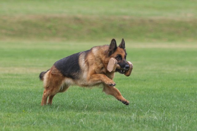 118087946_3559880517379832_1697113702785494361_o