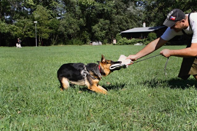 11973715_10203351161619283_170751014_o