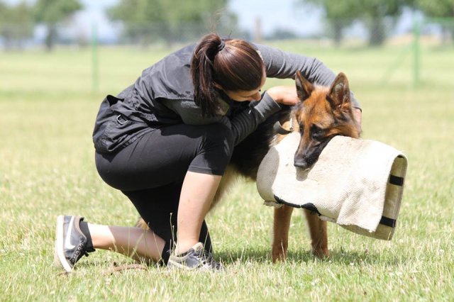 13620179_940164489439688_3418580281493580537_n