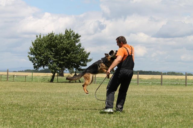 13620918_940164632773007_2483946141844986998_n