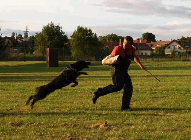 Ilo od Svatováclava