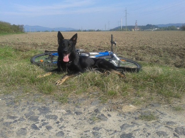 Ilo od Svatováclava