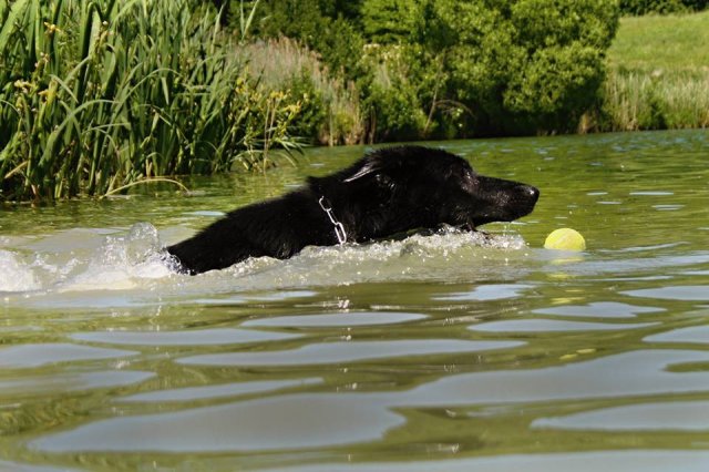 Ilo od Svatováclava