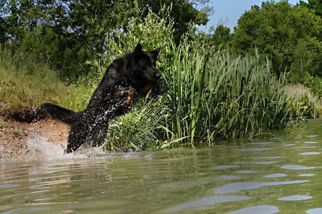 Ilo od Svatováclava