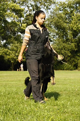 Ilo od Svatováclava