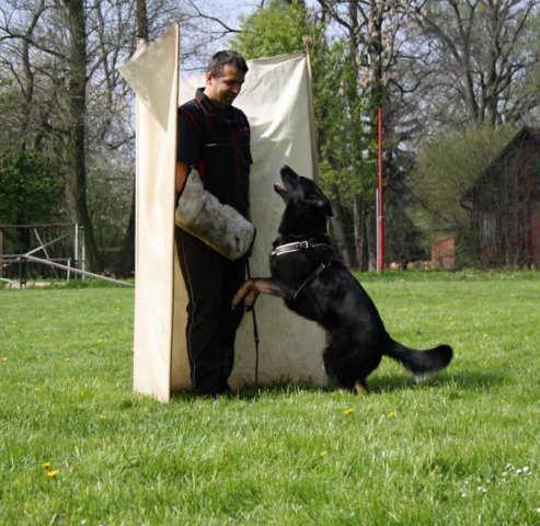 Ilo od Svatováclava