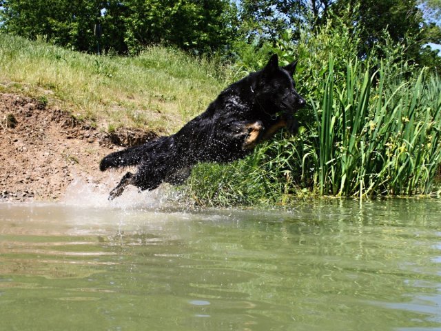 Ilo od Svatováclava